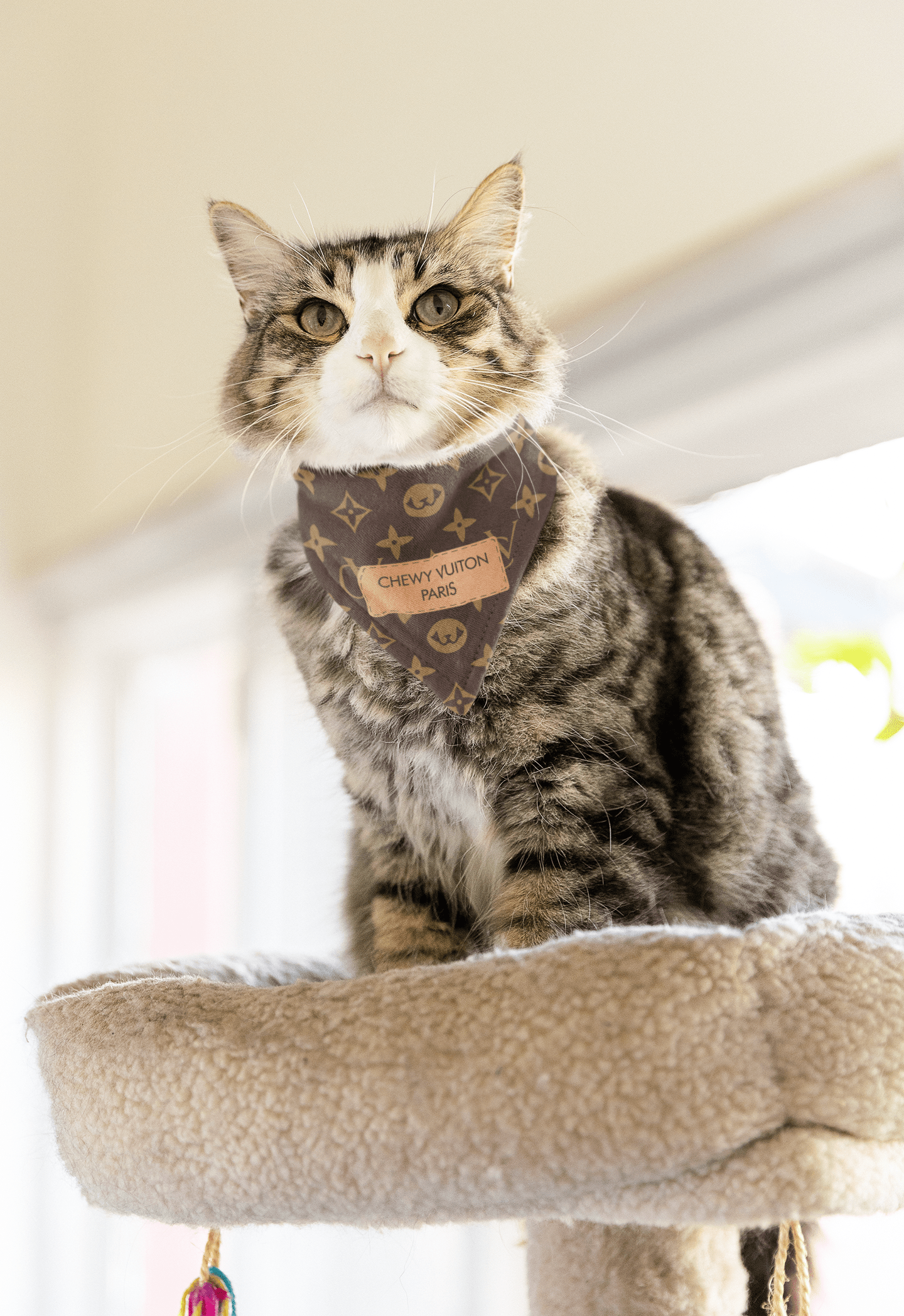 CHEWY VUITON For Cats - Brown