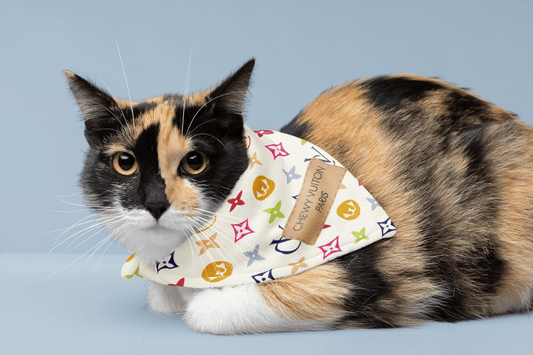 CHEWY VUITON For Cats - White