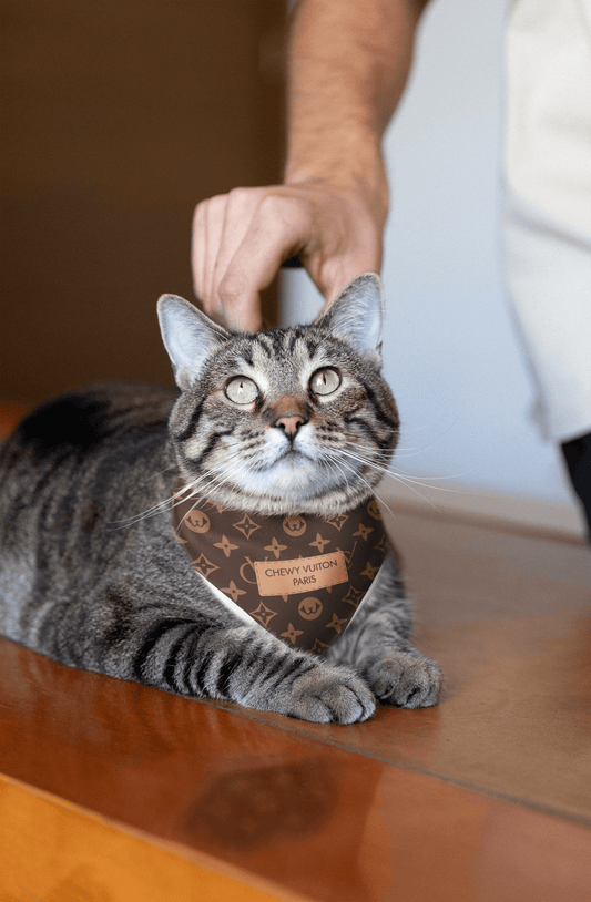 CHEWY VUITON For Cats - Brown