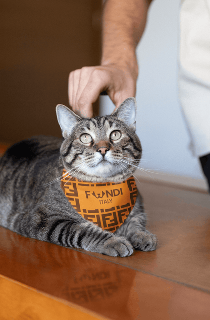FUNDI For Cats
