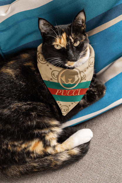 PUCCI For Cats