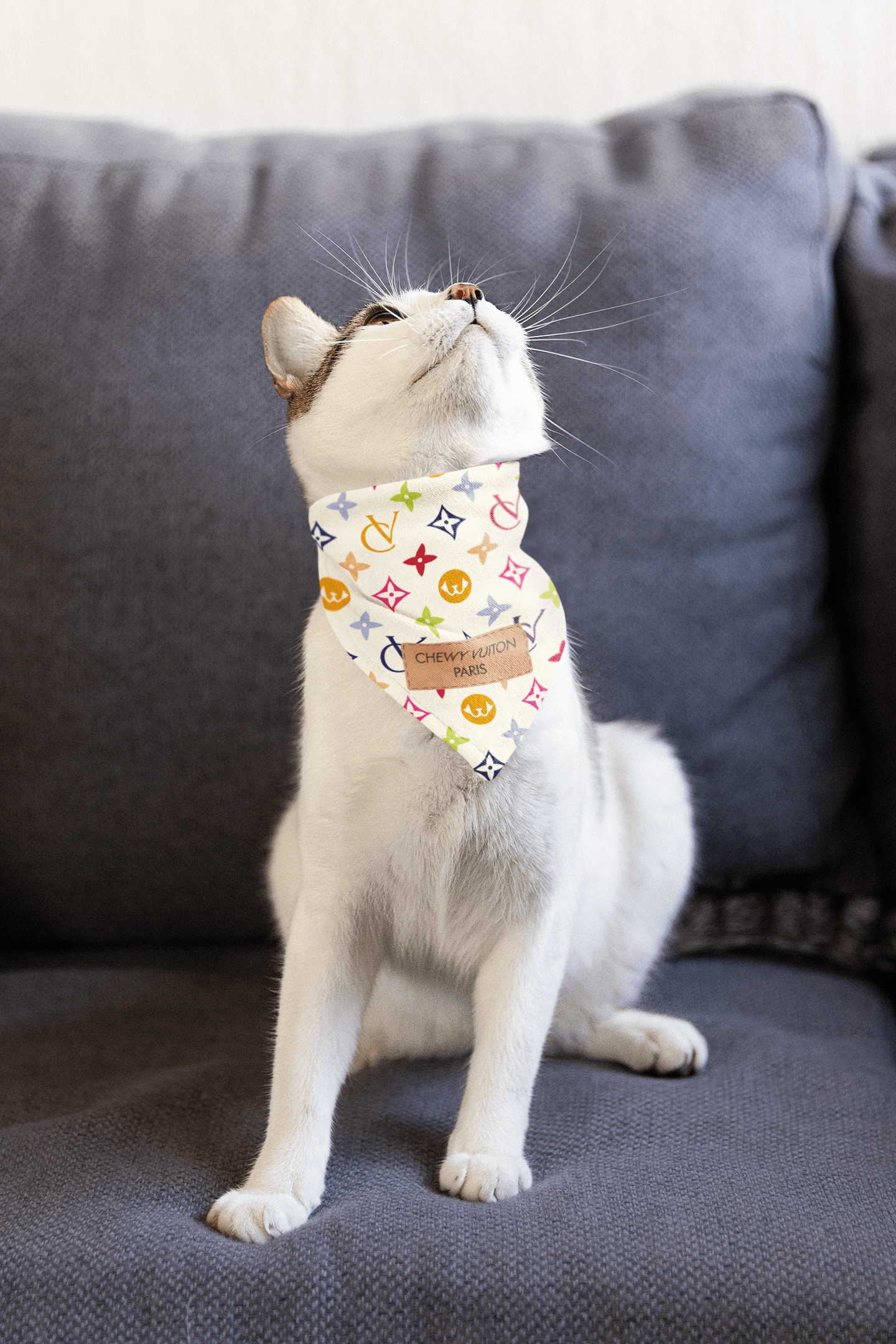 CHEWY VUITON For Cats - White